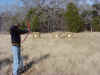 Archery Range2 (83148 bytes)