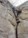 Mr Anderson Climbing